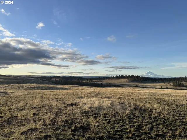 a view of an ocean beach