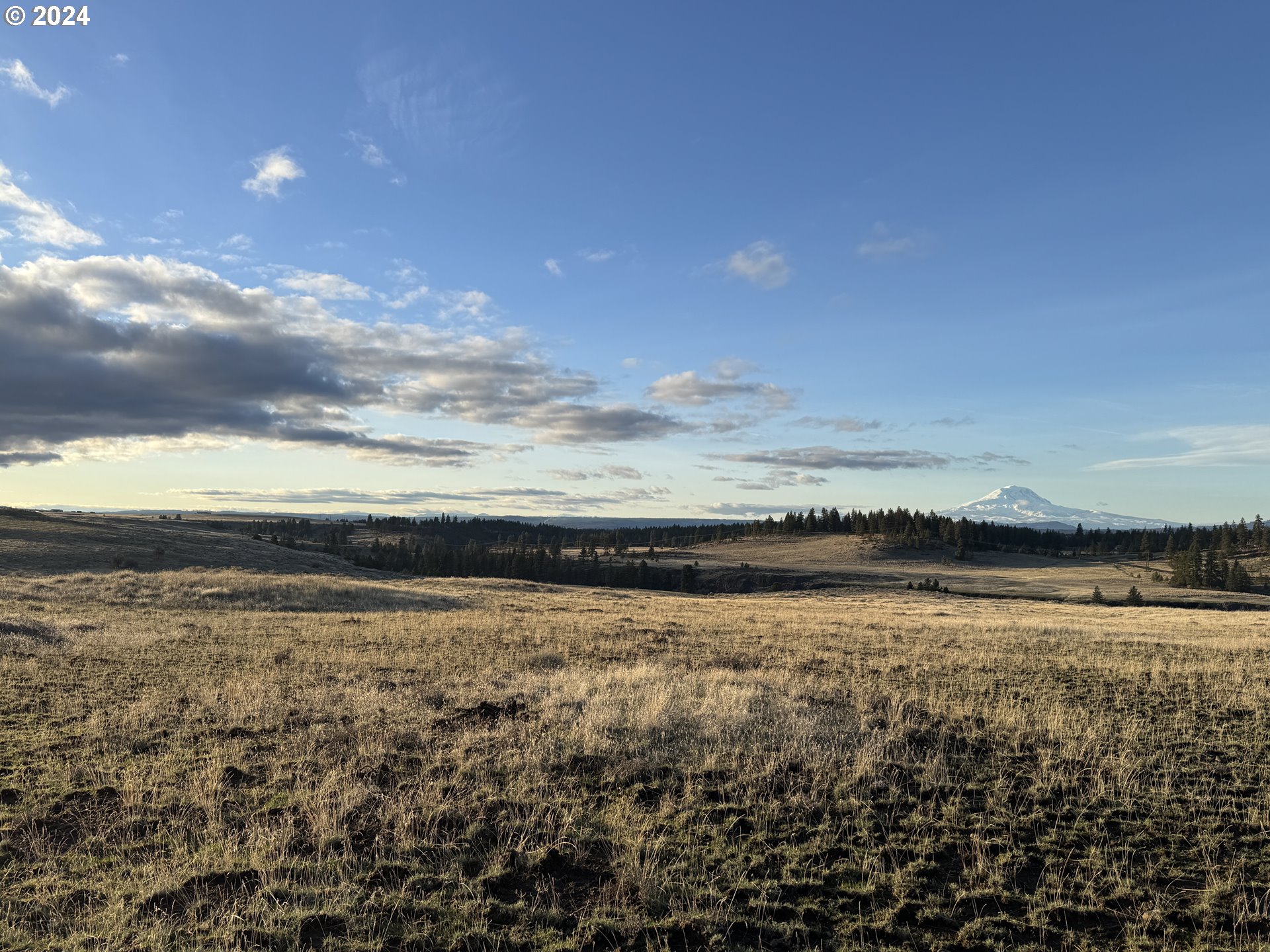 50 Lipo Road Centerville, WA 98613 - Photo 21 of 36 a view of an ocean