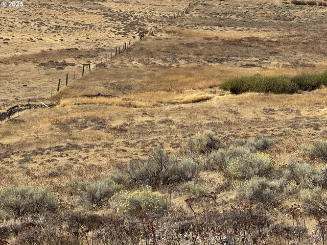 a view of an ocean beach