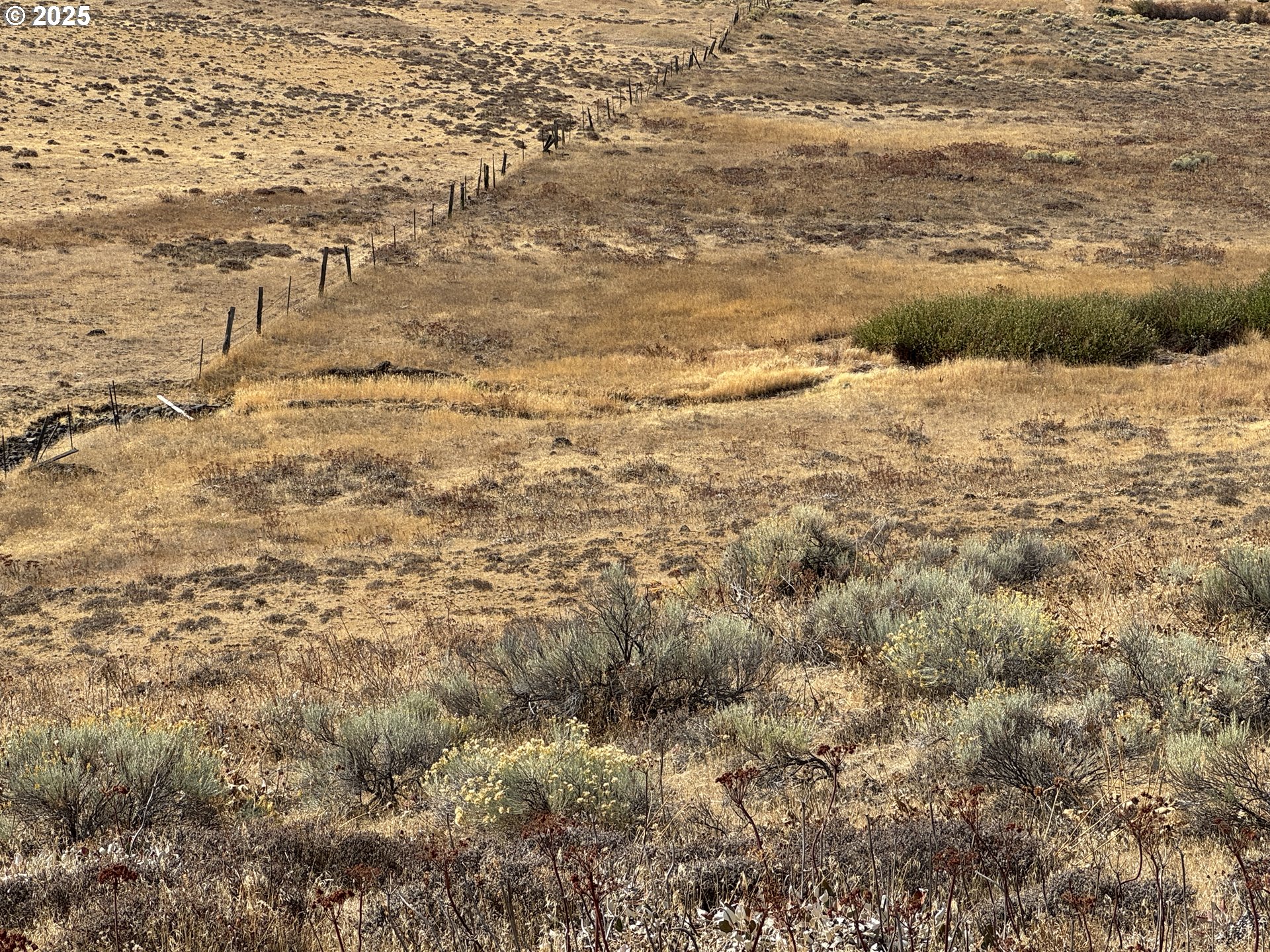 50 Lipo Road Centerville, WA 98613 - Photo 29 of 36 a view of ocean view