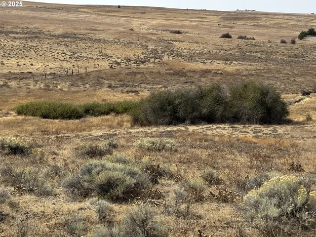 a view of ocean and mountain