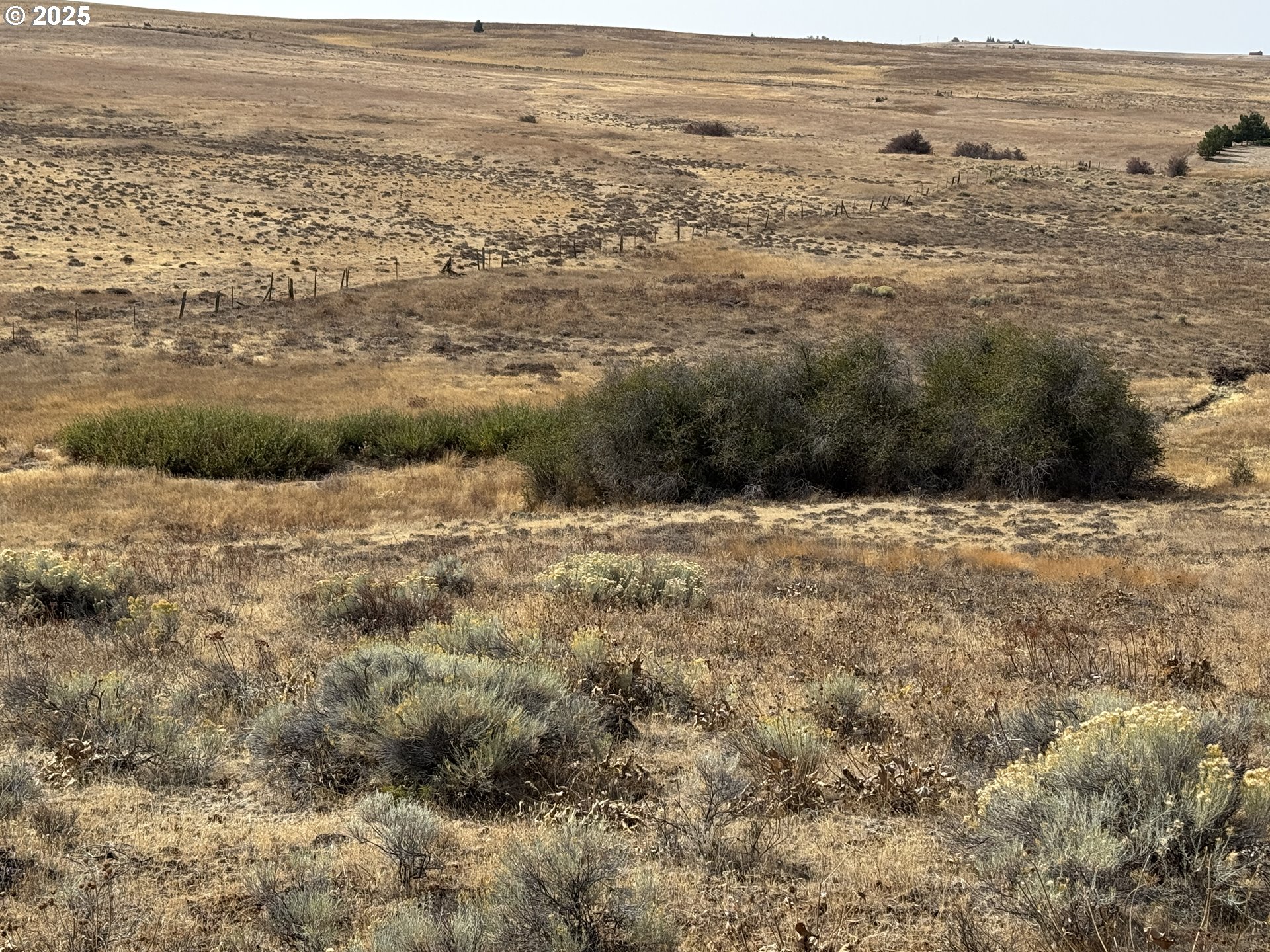 50 Lipo Road Centerville, WA 98613 - Photo 32 of 36 a view of ocean and mountain