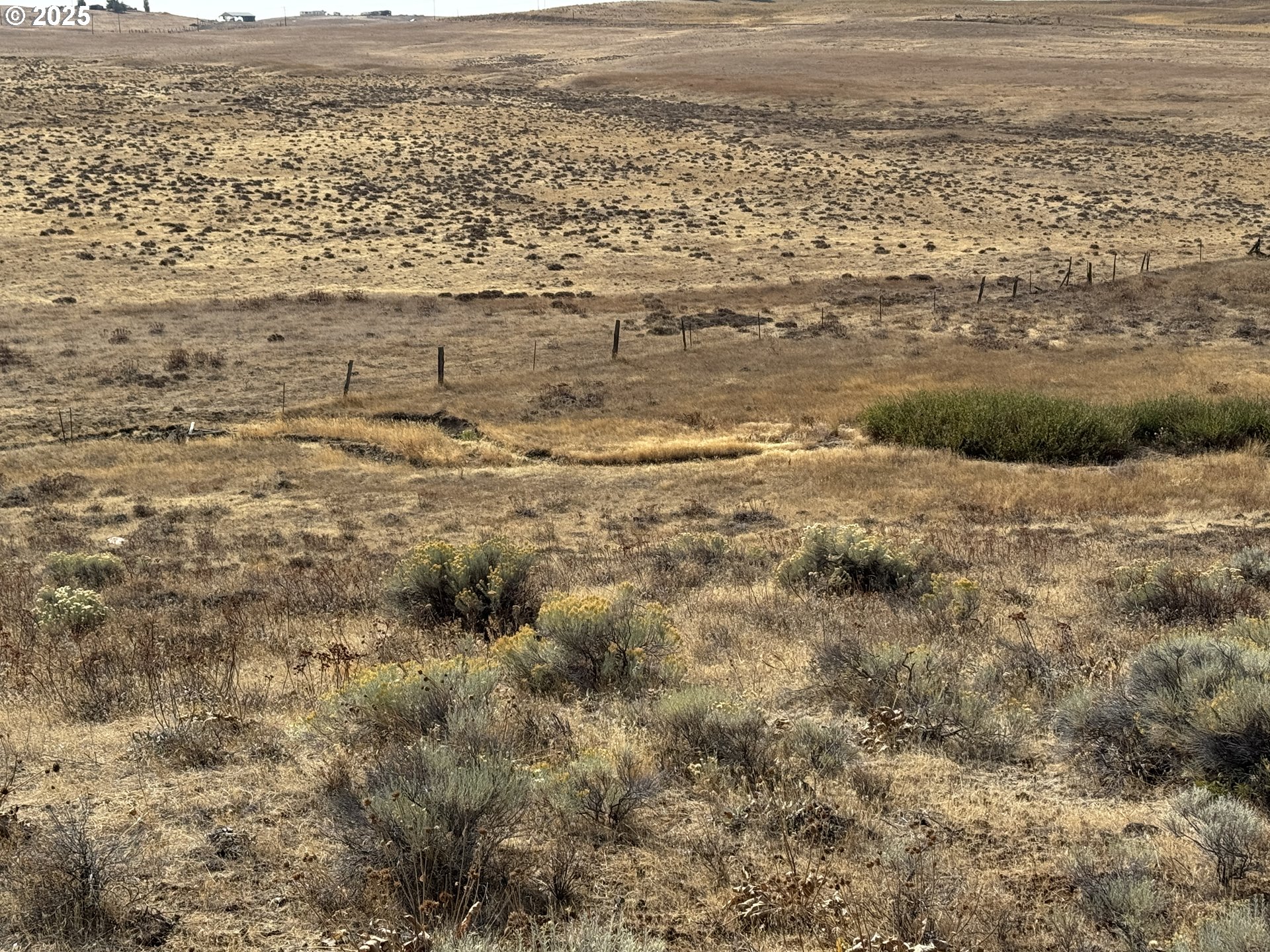 50 Lipo Road Centerville, WA 98613 - Photo 33 of 36 a view of ocean and mountain