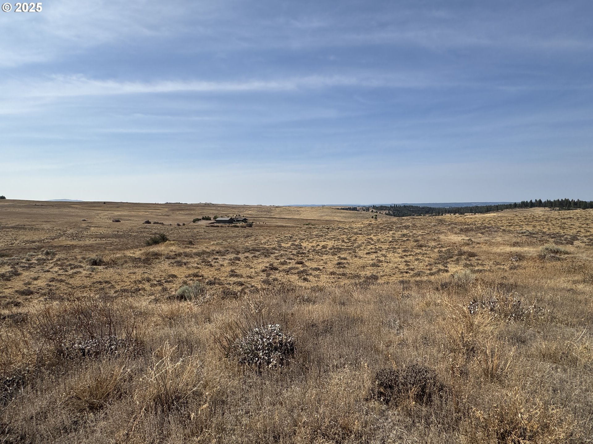 50 Lipo Road Centerville, WA 98613 - Photo 34 of 36 a view of an ocean