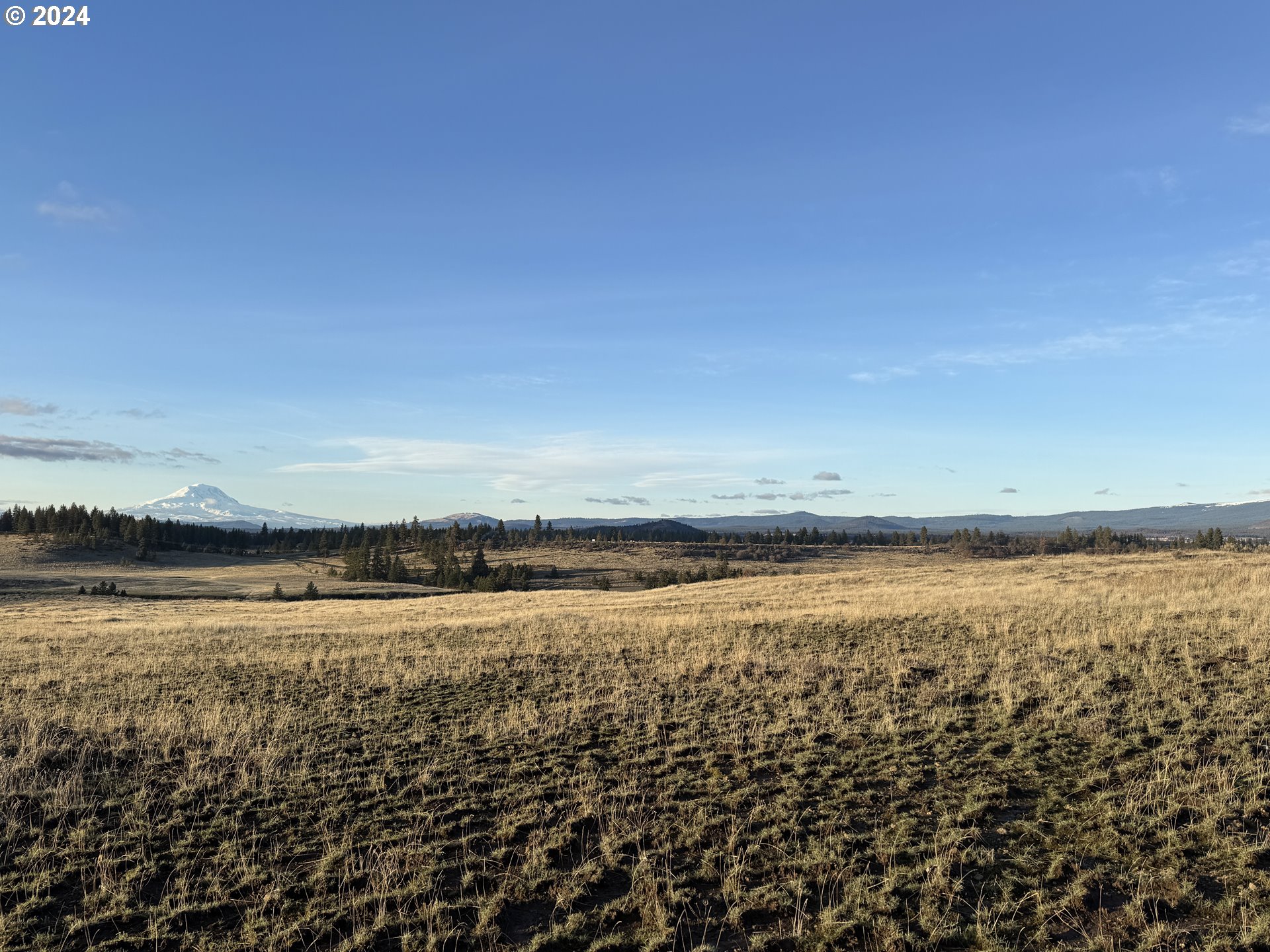 50 Lipo Road Centerville, WA 98613 - Photo 6 of 36 a view of an ocean beach