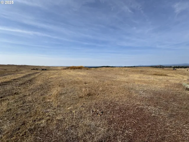 a view of an ocean beach