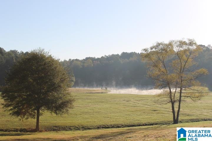 3258 Youngs Mill Road Lineville, AL 36266 - Photo 36 of 50