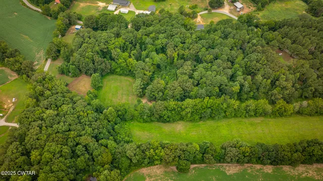 a view of a lush green forest with a lake