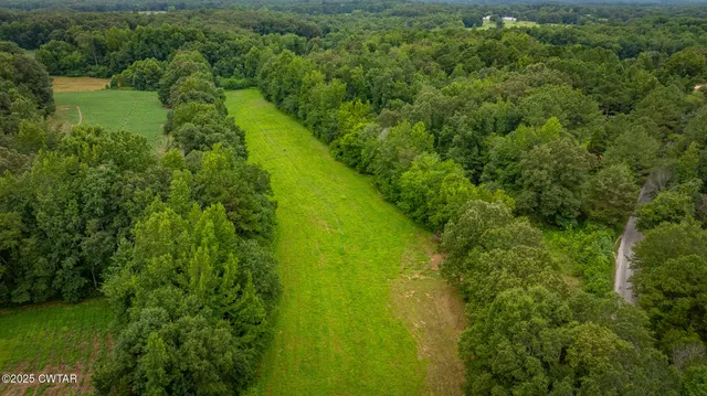 a view of a lush green forest with a lake