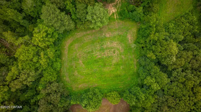 a view of yard from a green space