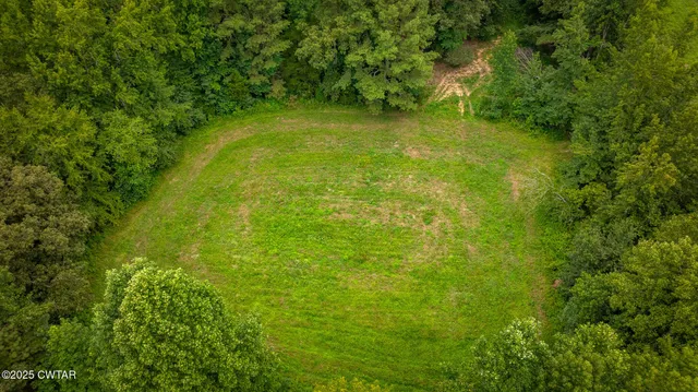 a backyard of a house with lots of green space and trees all around