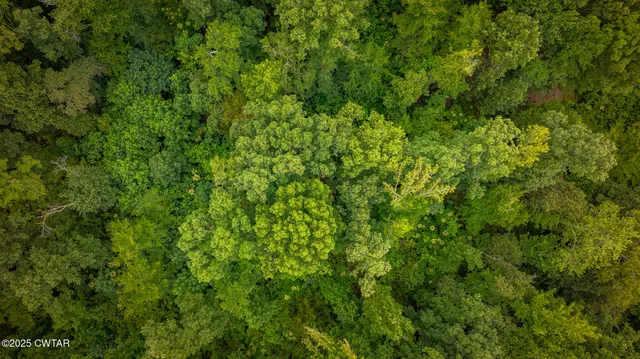 $170,000 | 1060 Red Williams Road, Huntingdon, TN 38344