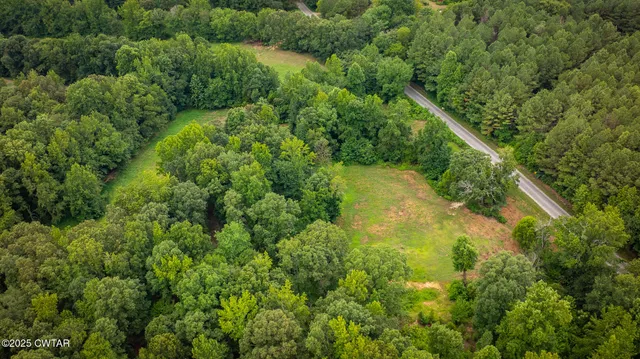 a view of a forest with a lake