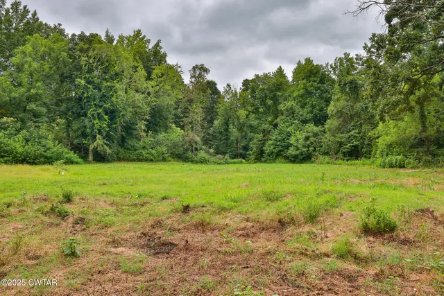 a view of yard with green space