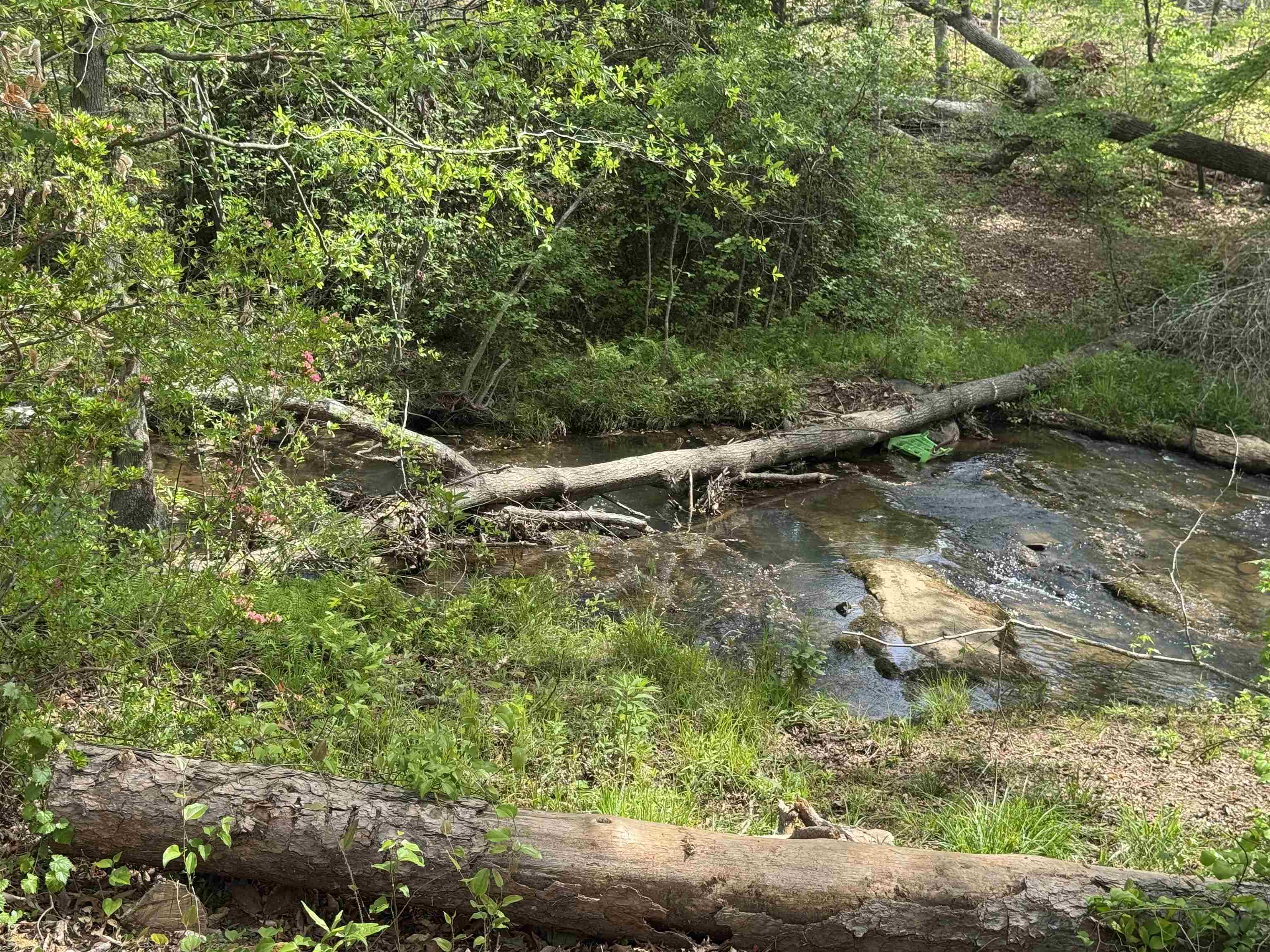 106 Buckingham Road Duncan, SC 29334 - Photo 6 of 21