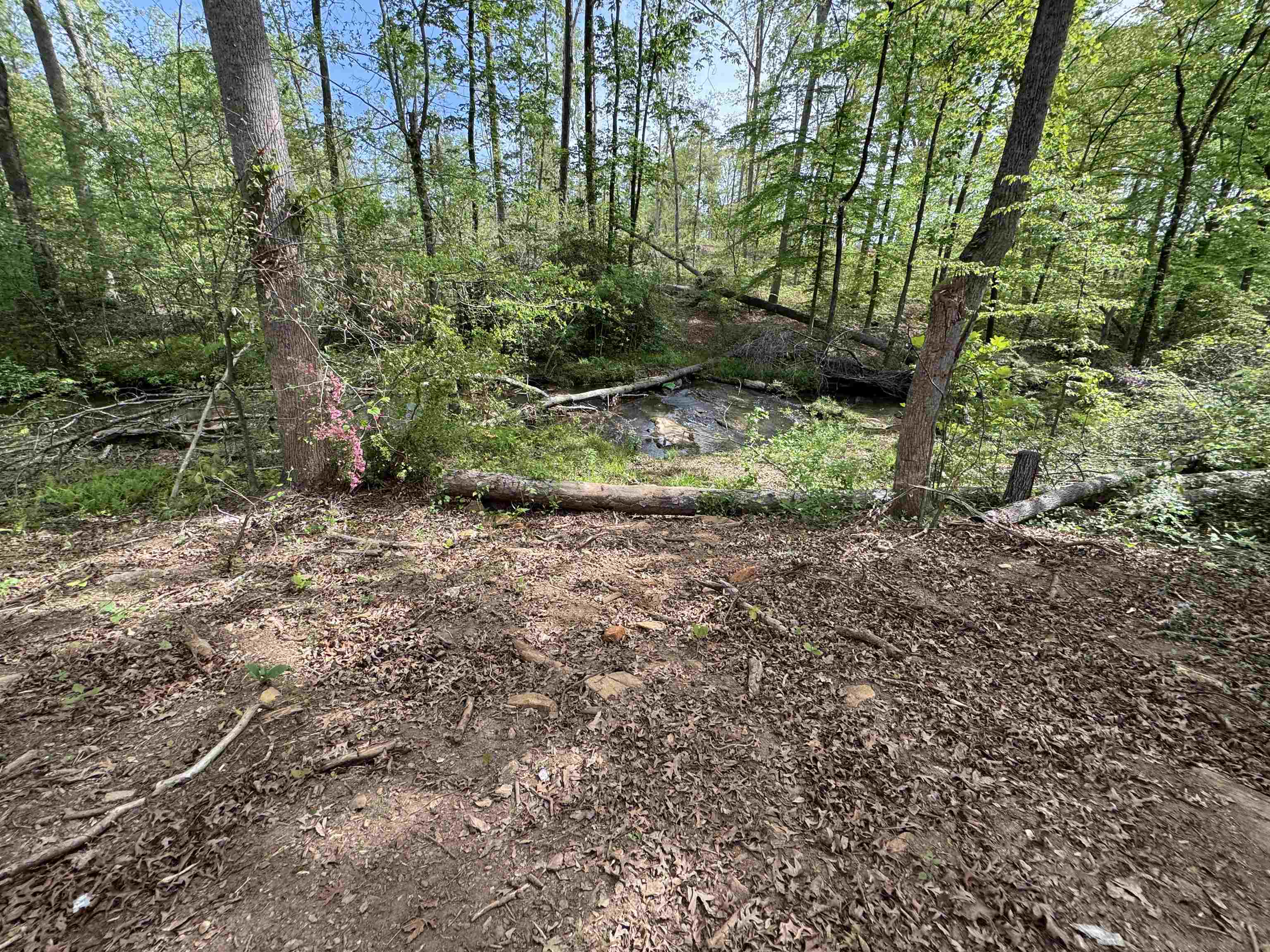 106 Buckingham Road Duncan, SC 29334 - Photo 7 of 21