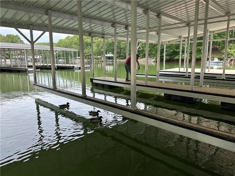 8415 Beryl Overlook Gainesville, GA 30506 - Photo 9 of 59