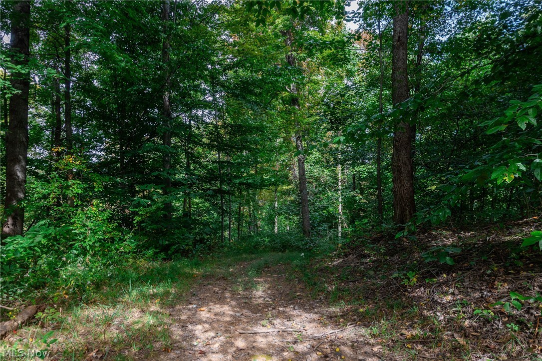 Lew Marten Road Summerfield, OH 43788 - Photo 46 of 50 Gallery Image 46