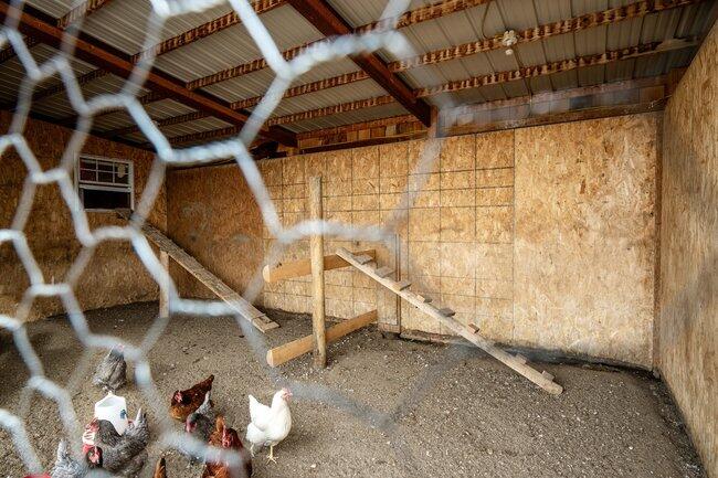 521 Cat Creek Road Sheridan, WY 82801 - Photo 65 of 76 073_dsc_9226_323