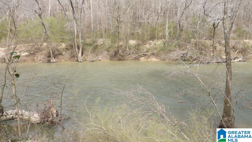 435 Wow Road, Unit 59 Blountsville, AL 35031 - Photo 49 of 49