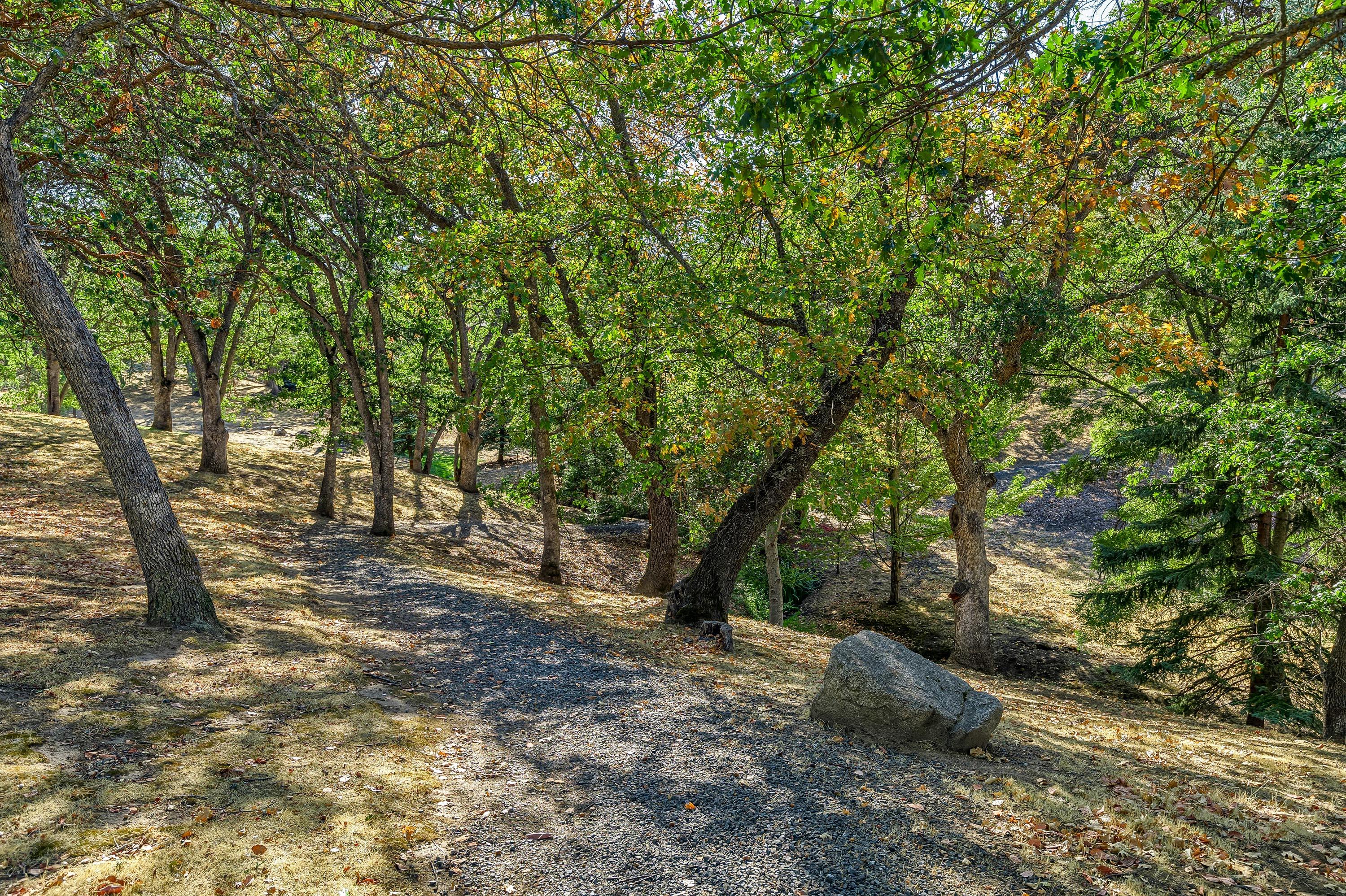 876 Cypress Point Loop Ashland, OR 97520 - Photo 39 of 41 06_CPLB_6