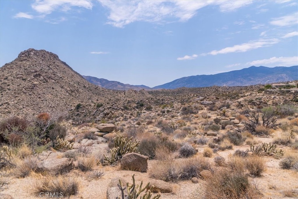 13 Flat Branch Mountain Center, CA 92561 - Photo 13 of 20