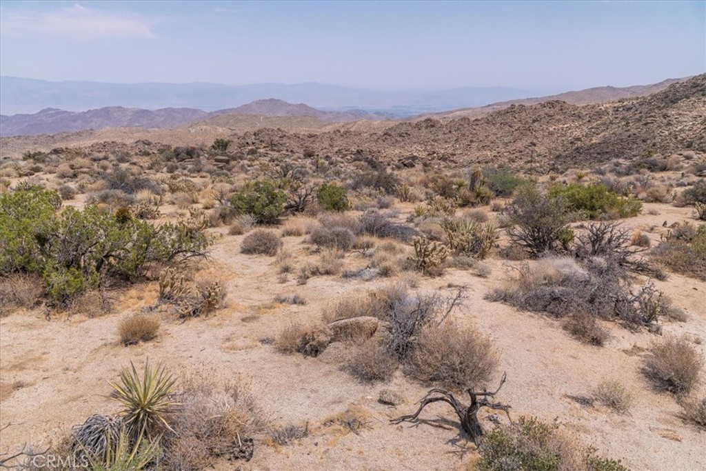 13 Flat Branch Mountain Center, CA 92561 - Photo 17 of 20