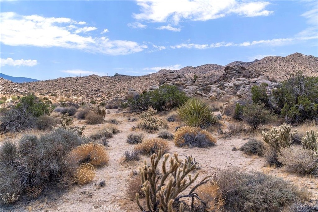 13 Flat Branch Mountain Center, CA 92561 - Photo 5 of 20