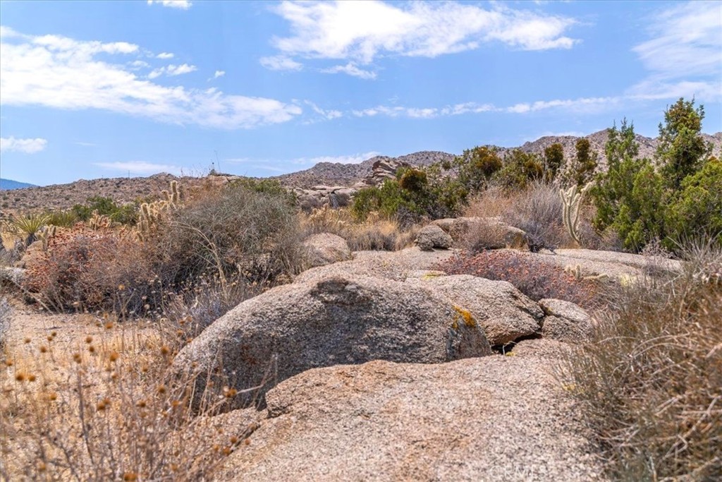 13 Flat Branch Mountain Center, CA 92561 - Photo 10 of 20