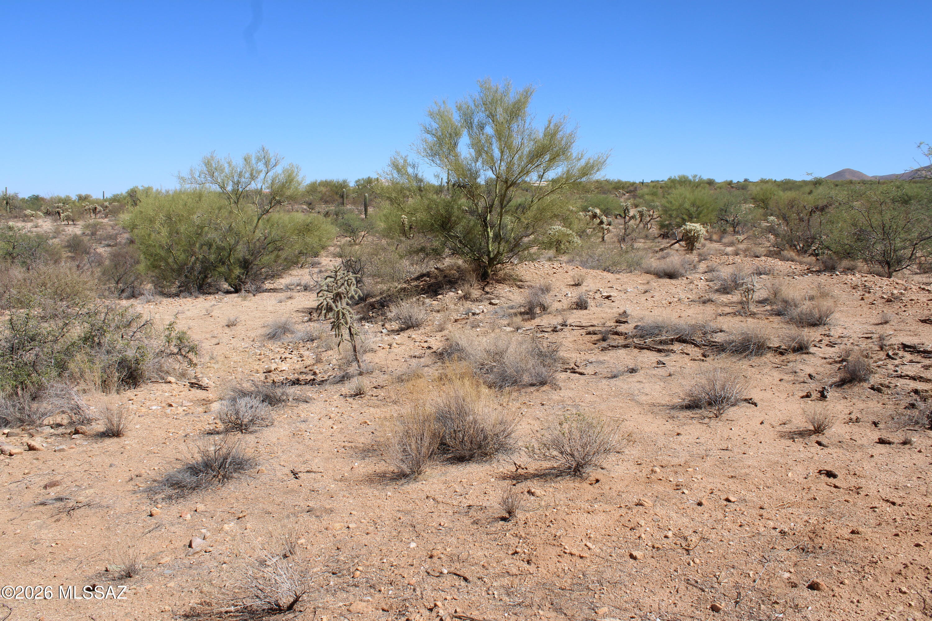 14243 South Shaw Road, Unit 331 Tucson, AZ 85736 - Photo 4 of 7