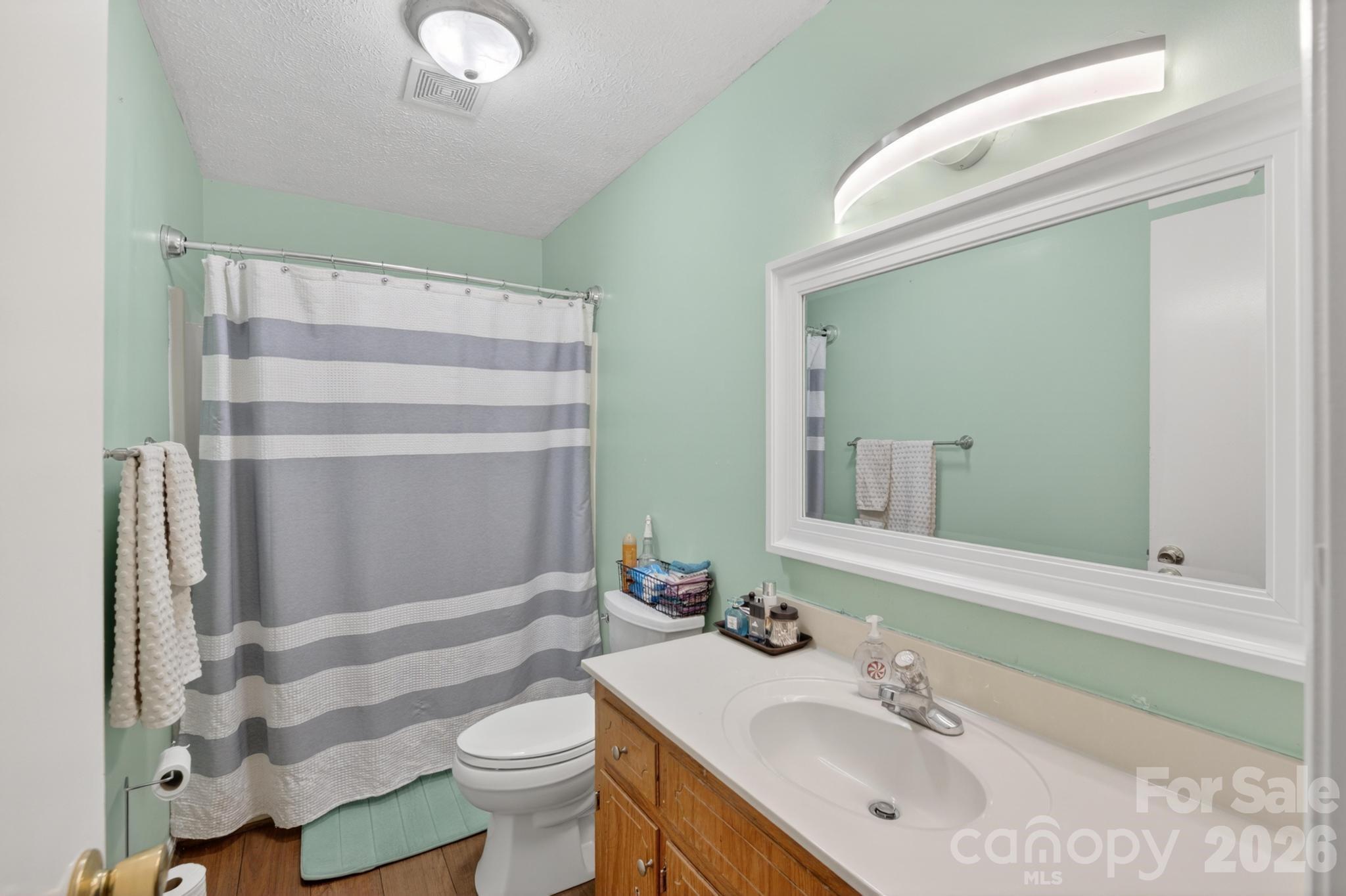 2308 Walt Arney Road Lenoir, NC 28645 - Photo 23 of 37 a bathroom with a sink a toilet and shower curtain