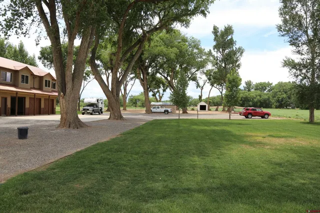 a view of a field with a tree in the background
