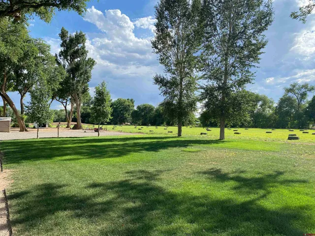 a view of a lake with a yard