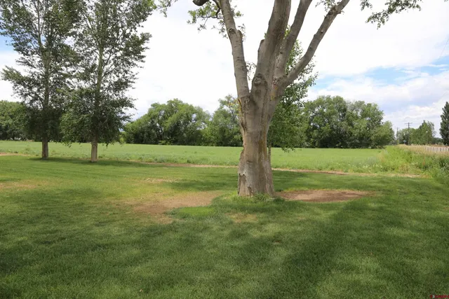 a view of house with a yard