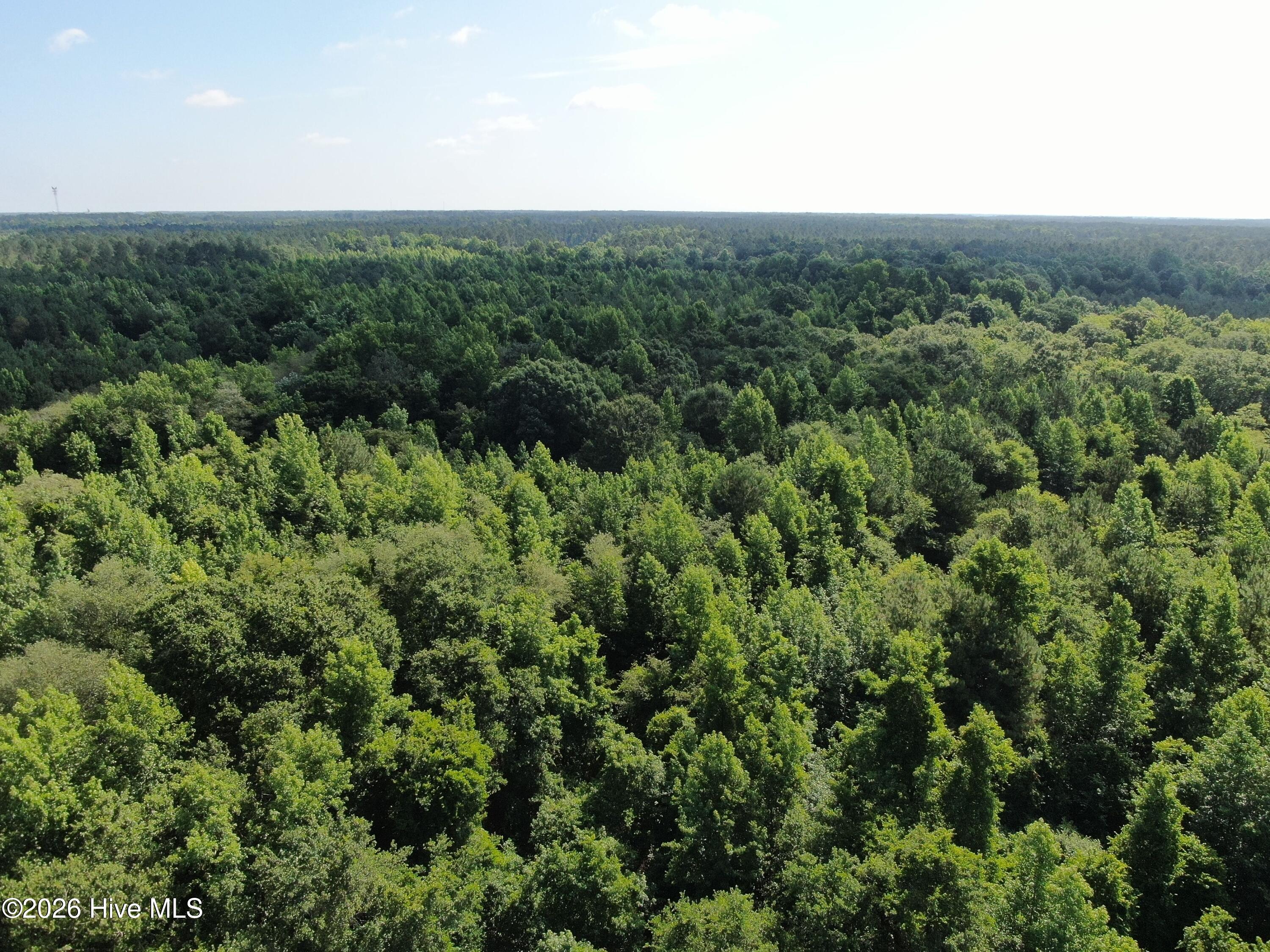 Tbd Oliver Carlton Road Warsaw, NC 28398 - Photo 15 of 15