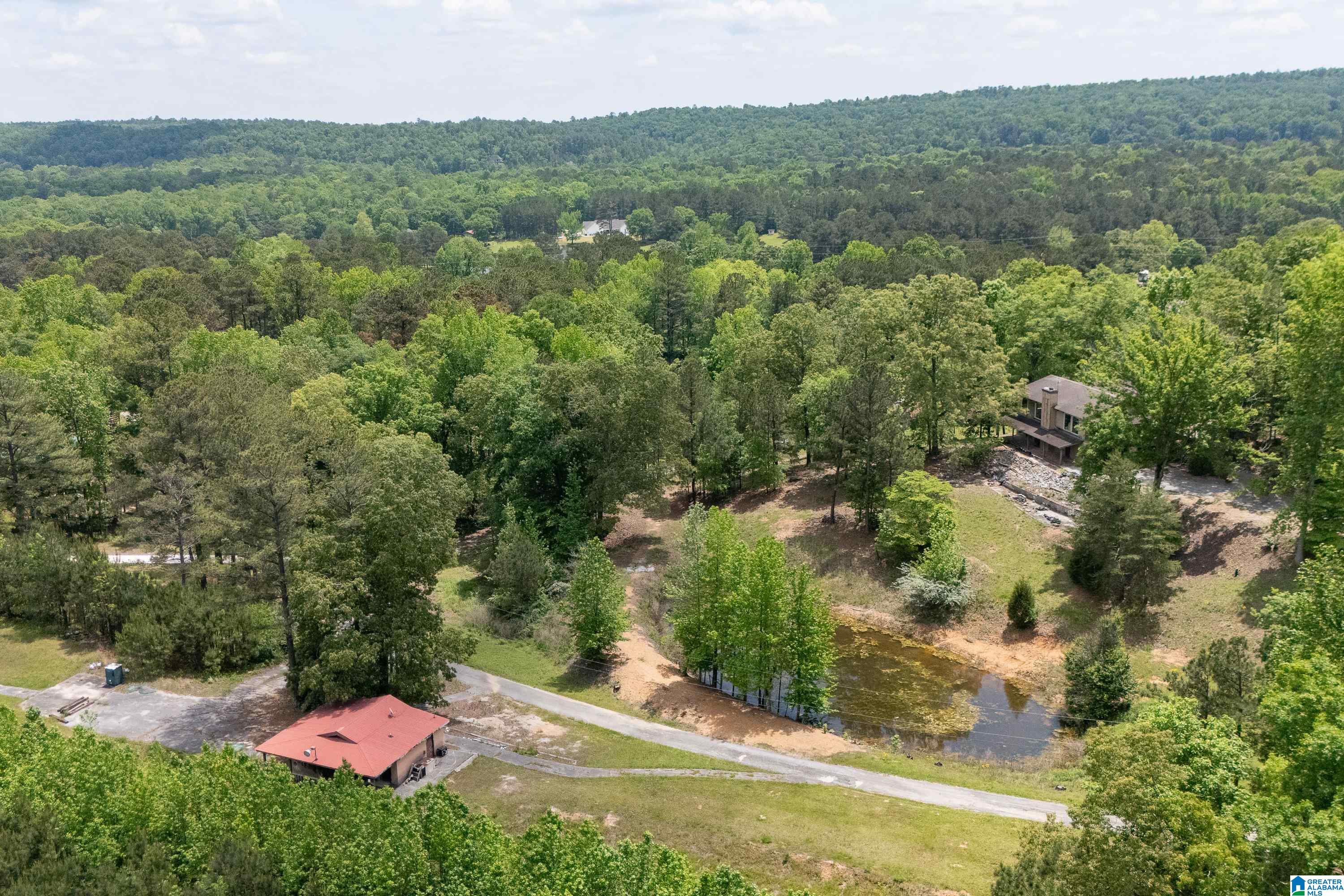 297 Cain Road Chelsea, AL 35043 - Photo 33 of 33