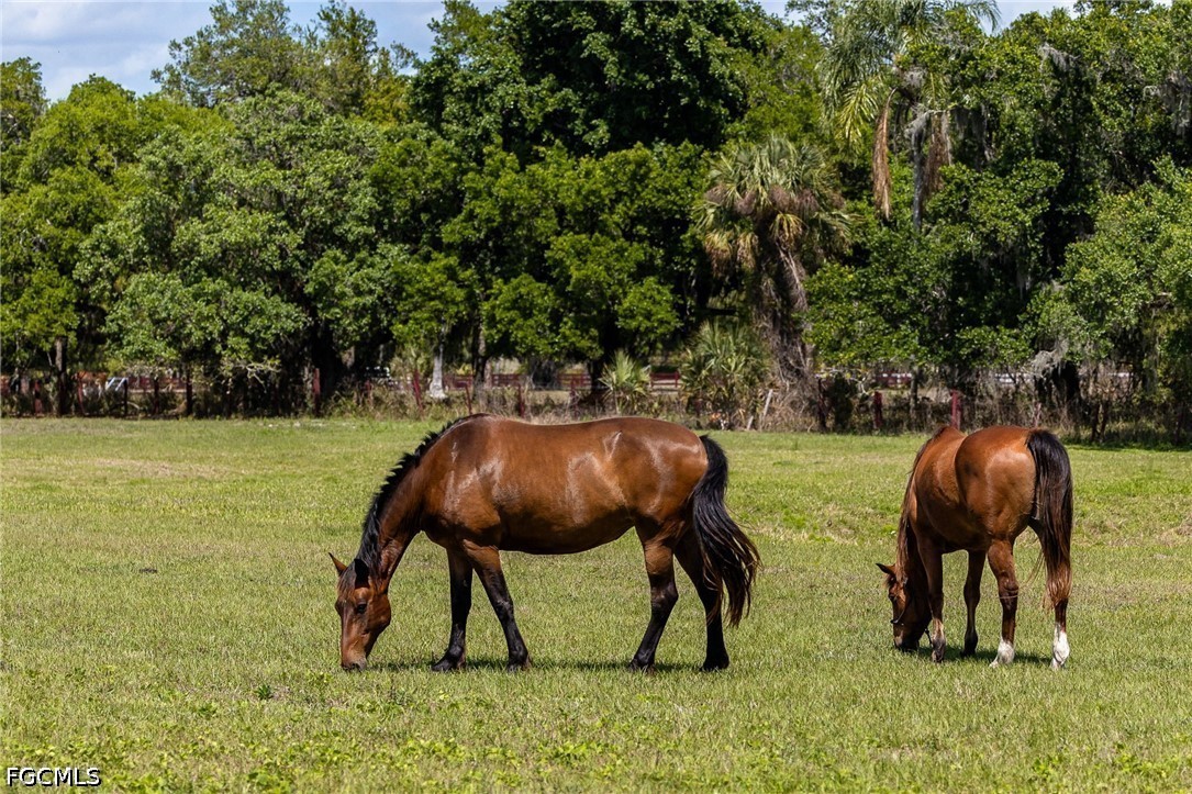 16100 North River Road Alva, FL 33920 - Photo 33 of 50