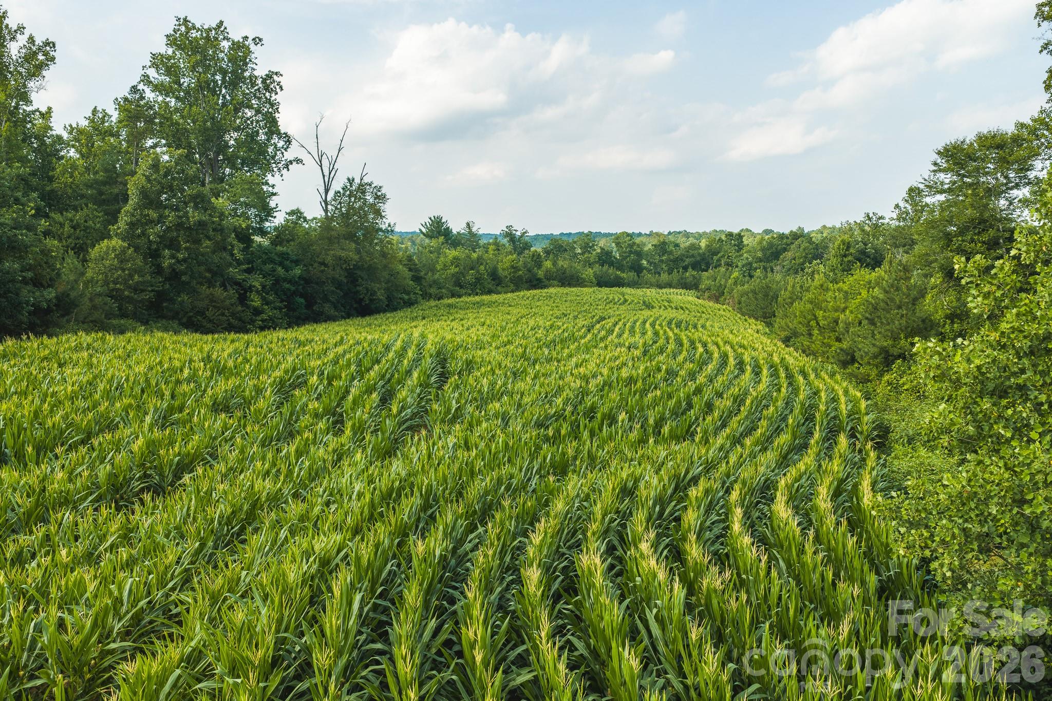 Tbd Sandbar Road Granite Falls, NC 28630 - Photo 43 of 43