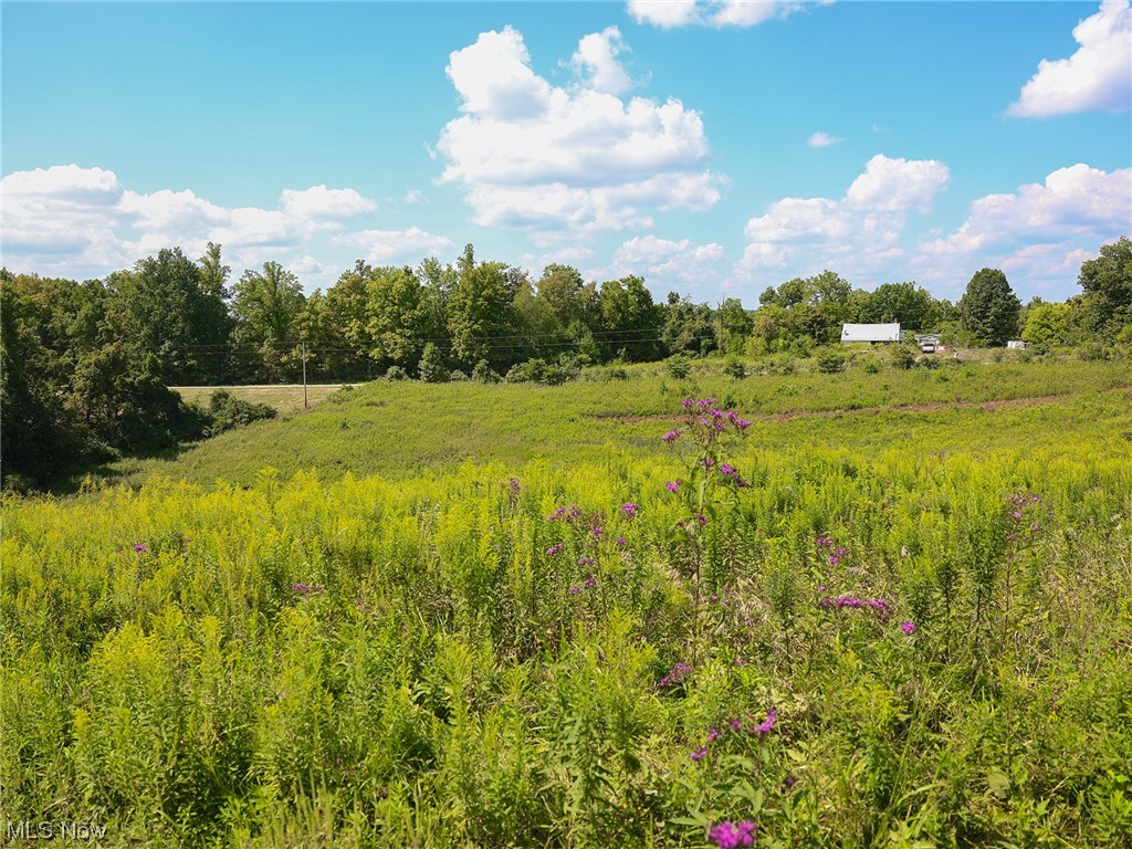3429 Dixon Ridge Road Lowell, OH 45744 - Photo 24 of 35