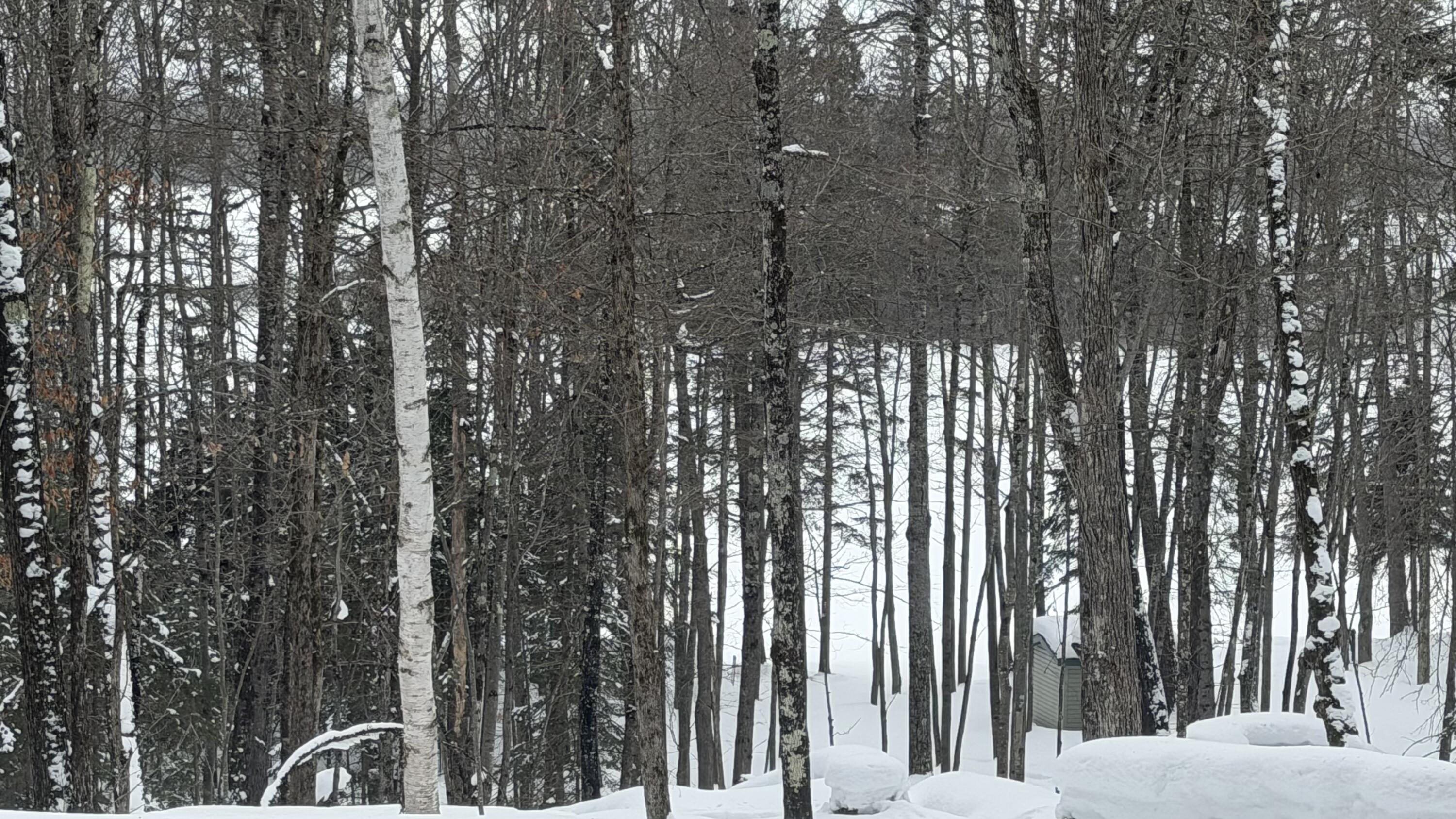 3933 Kimmear Road Mercer, WI 54547 - Photo 35 of 57 IMG_2212