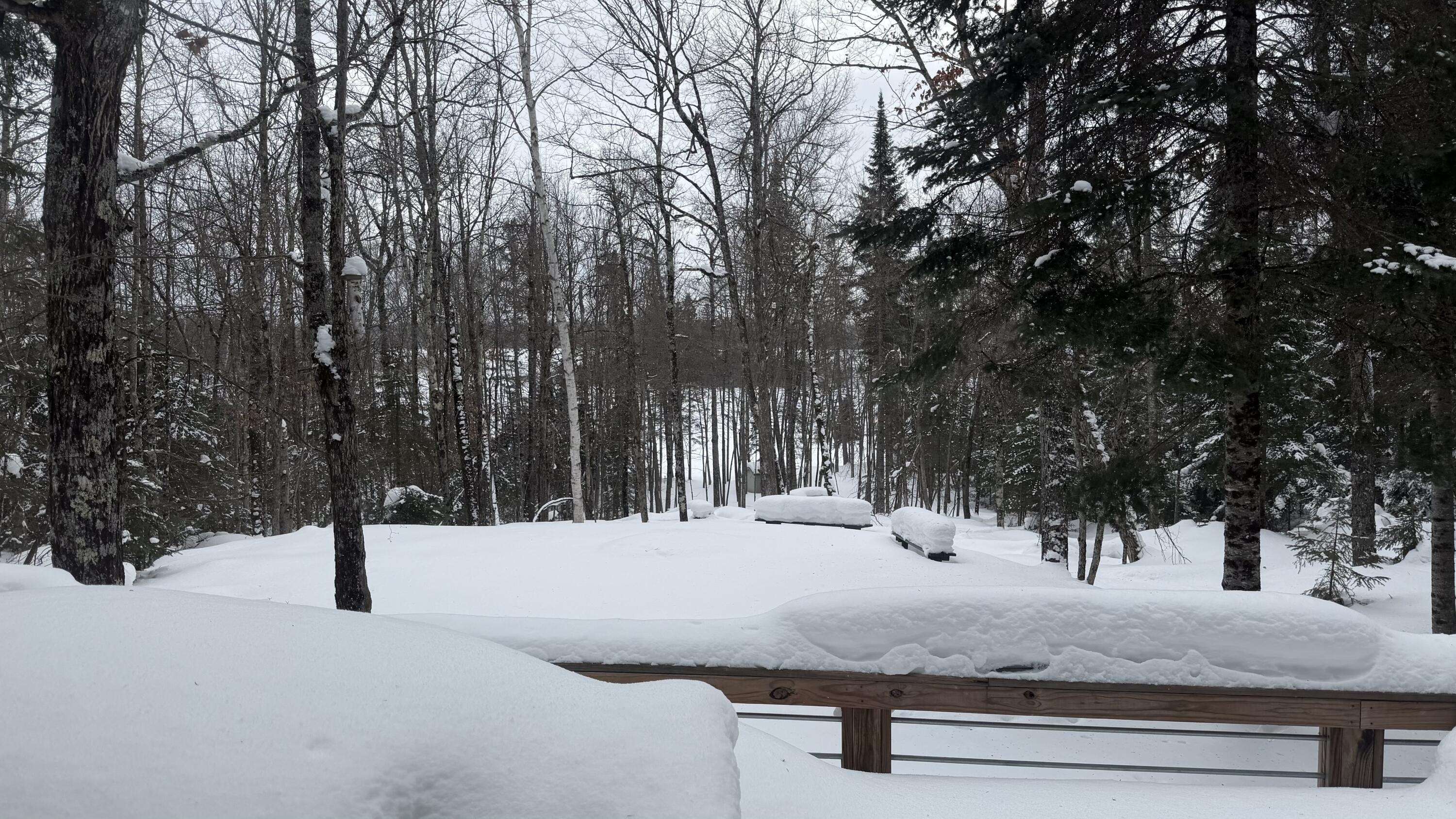 3933 Kimmear Road Mercer, WI 54547 - Photo 36 of 57 IMG_2210