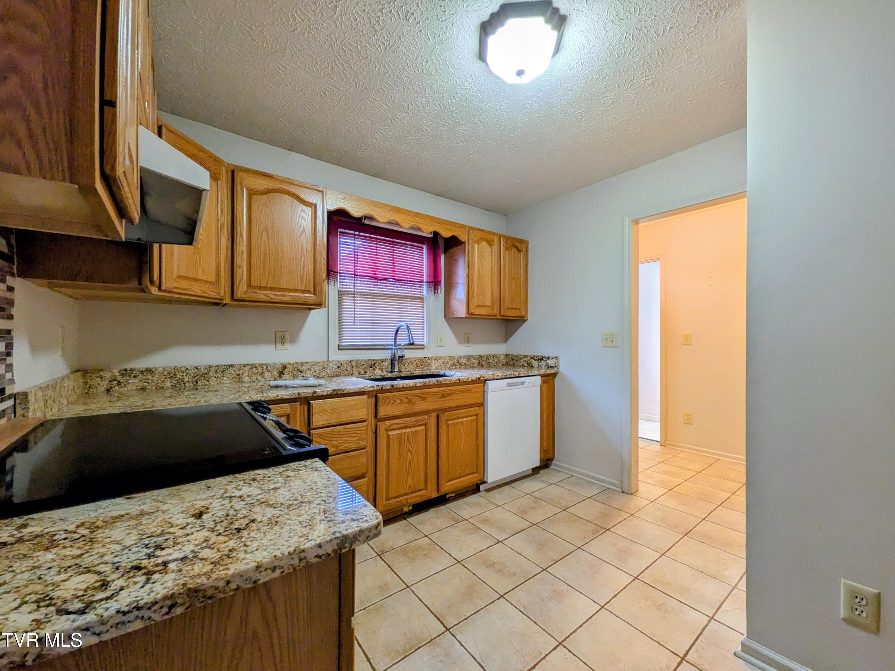 113 Nave Hollow Road Elizabethton, TN 37643 - Photo 27 of 91 Kitchen(2)