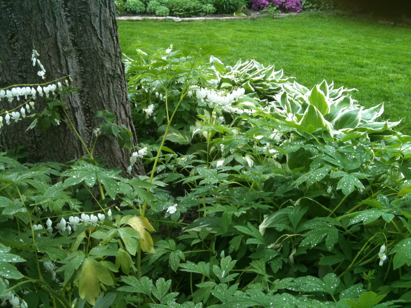 910 Seneca Road Wilmette, IL 60091 - Photo 22 of 28