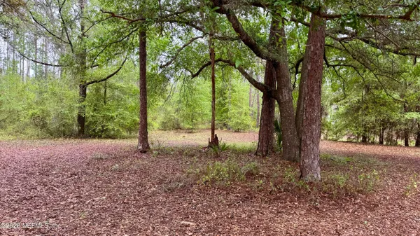 a view of outdoor space and trees