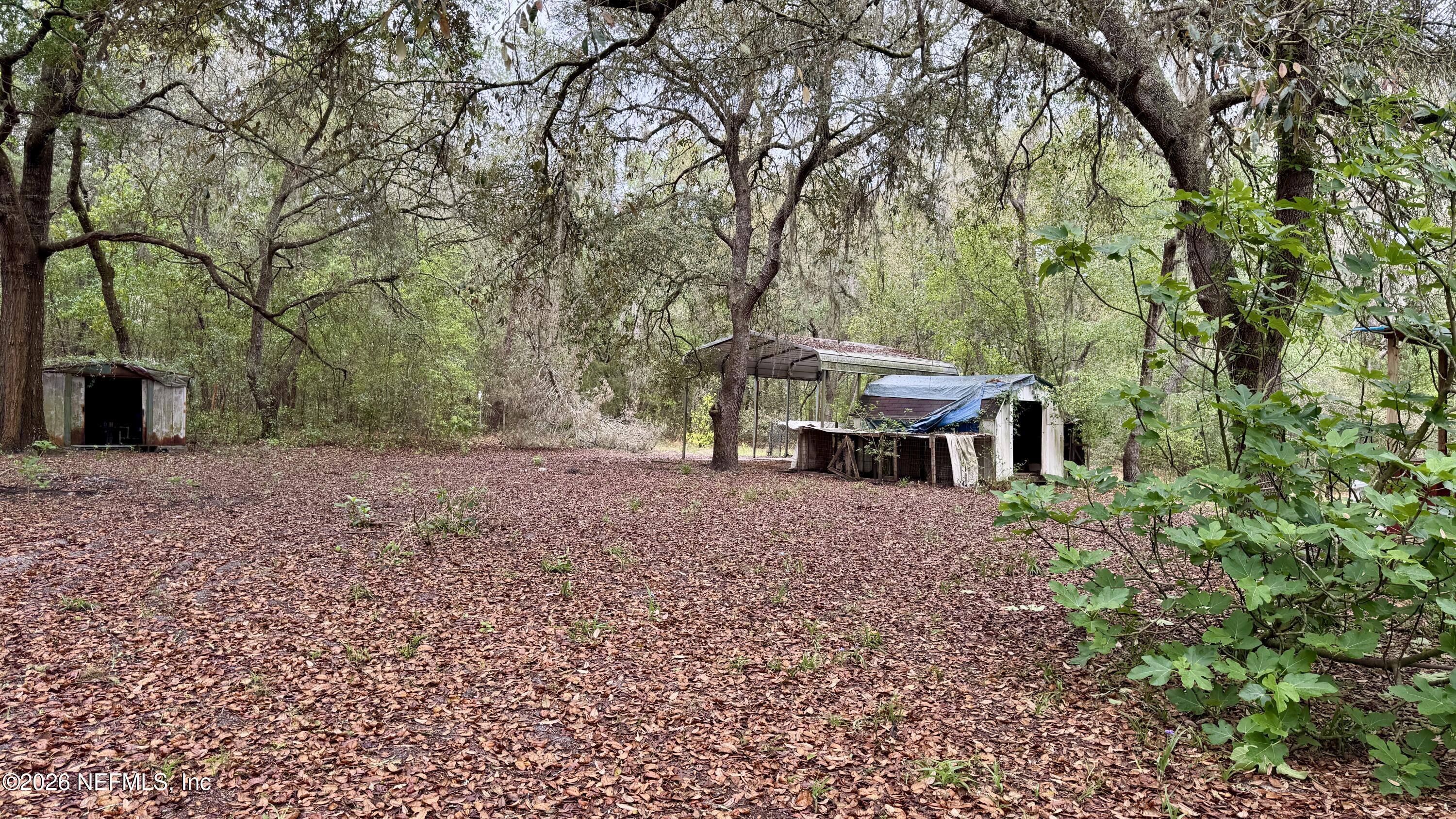 116 James Avenue Interlachen, FL 32148 - Photo 6 of 23 back yard & carport