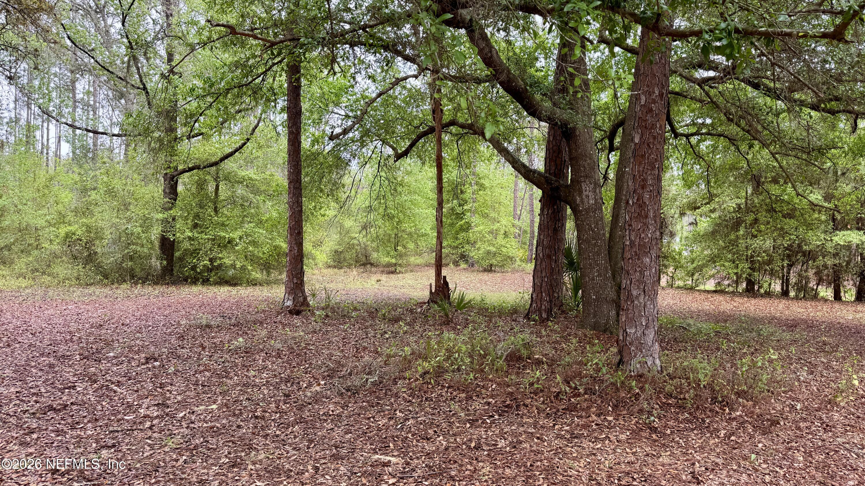 116 James Avenue Interlachen, FL 32148 - Photo 8 of 23 116 James Ave, Interlachen, FL