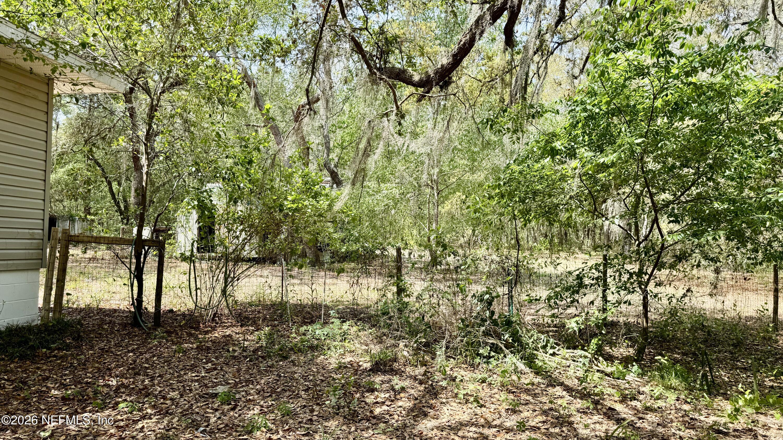 116 James Avenue Interlachen, FL 32148 - Photo 10 of 23 116 James Ave, Interlachen, FL
