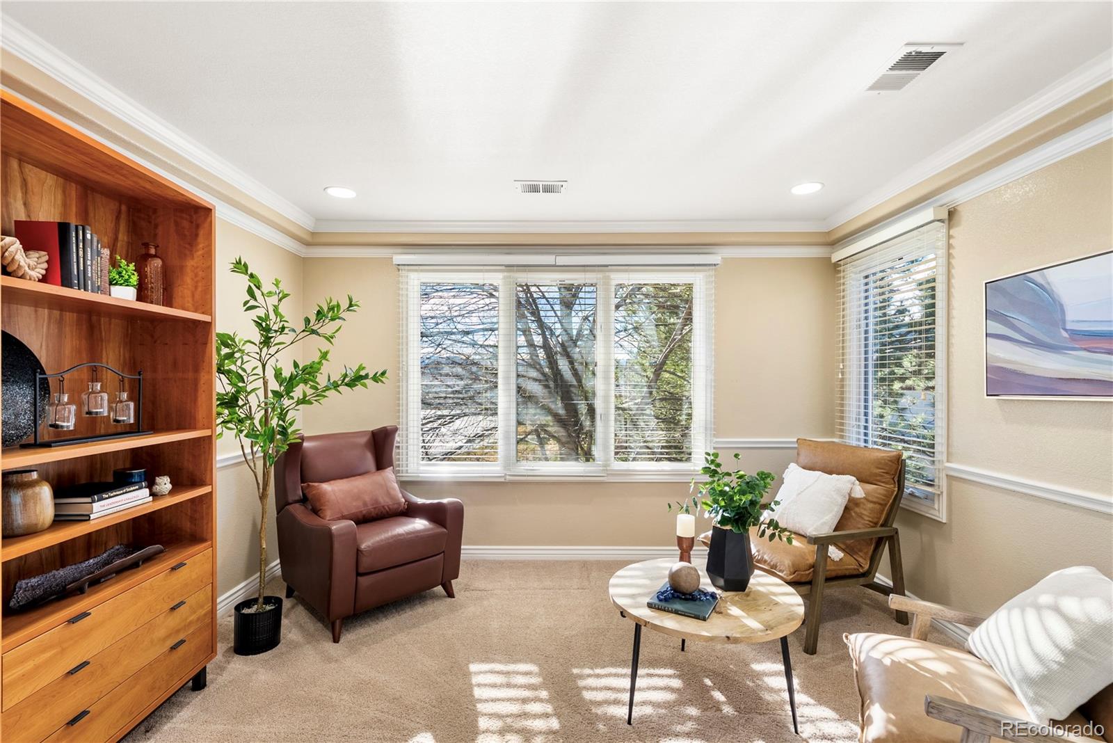 291 East Fairchild Drive Highlands Ranch, CO 80126 - Photo 30 of 50