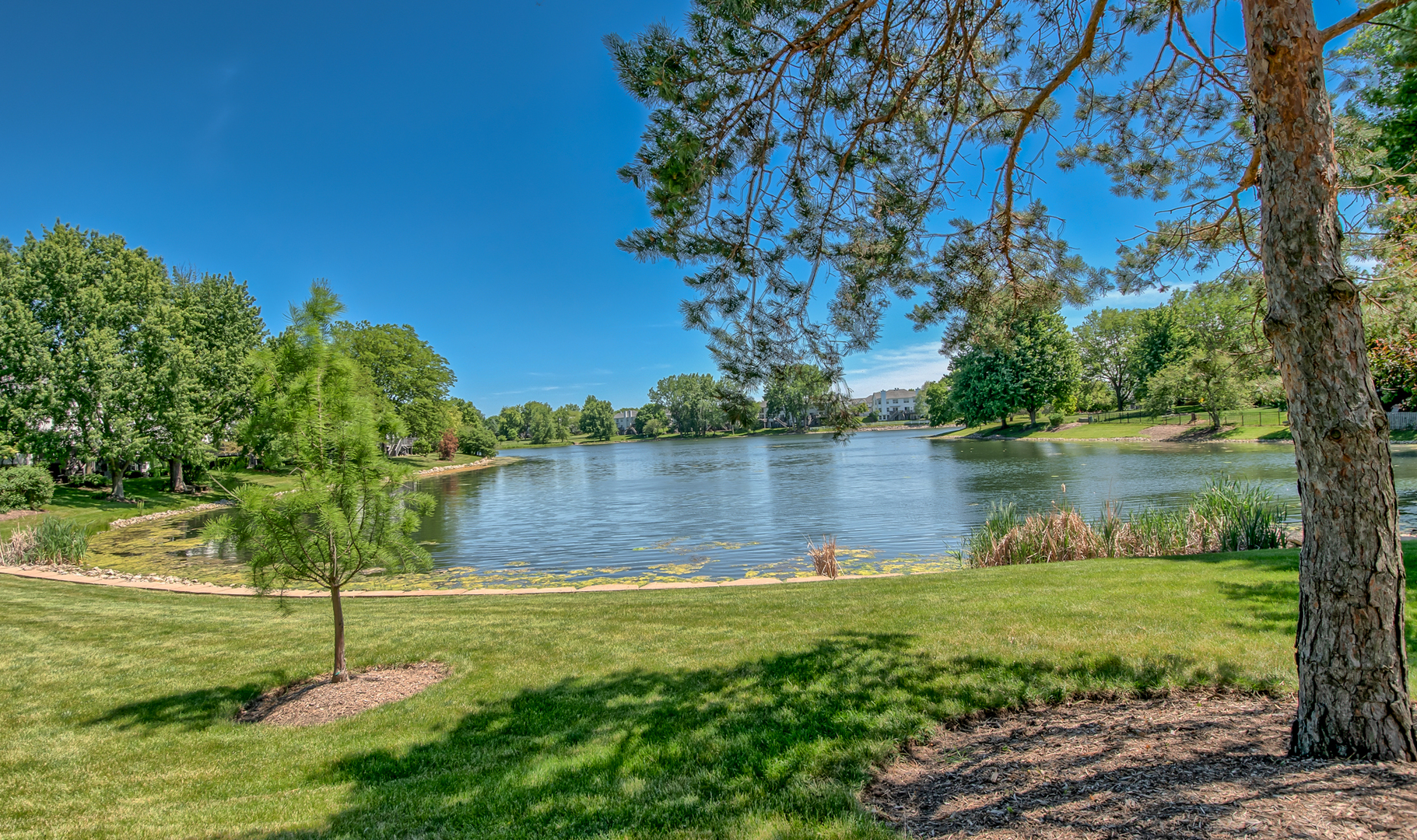 1337 Saddlebrook Road Bartlett, IL 60103 - Photo 46 of 52