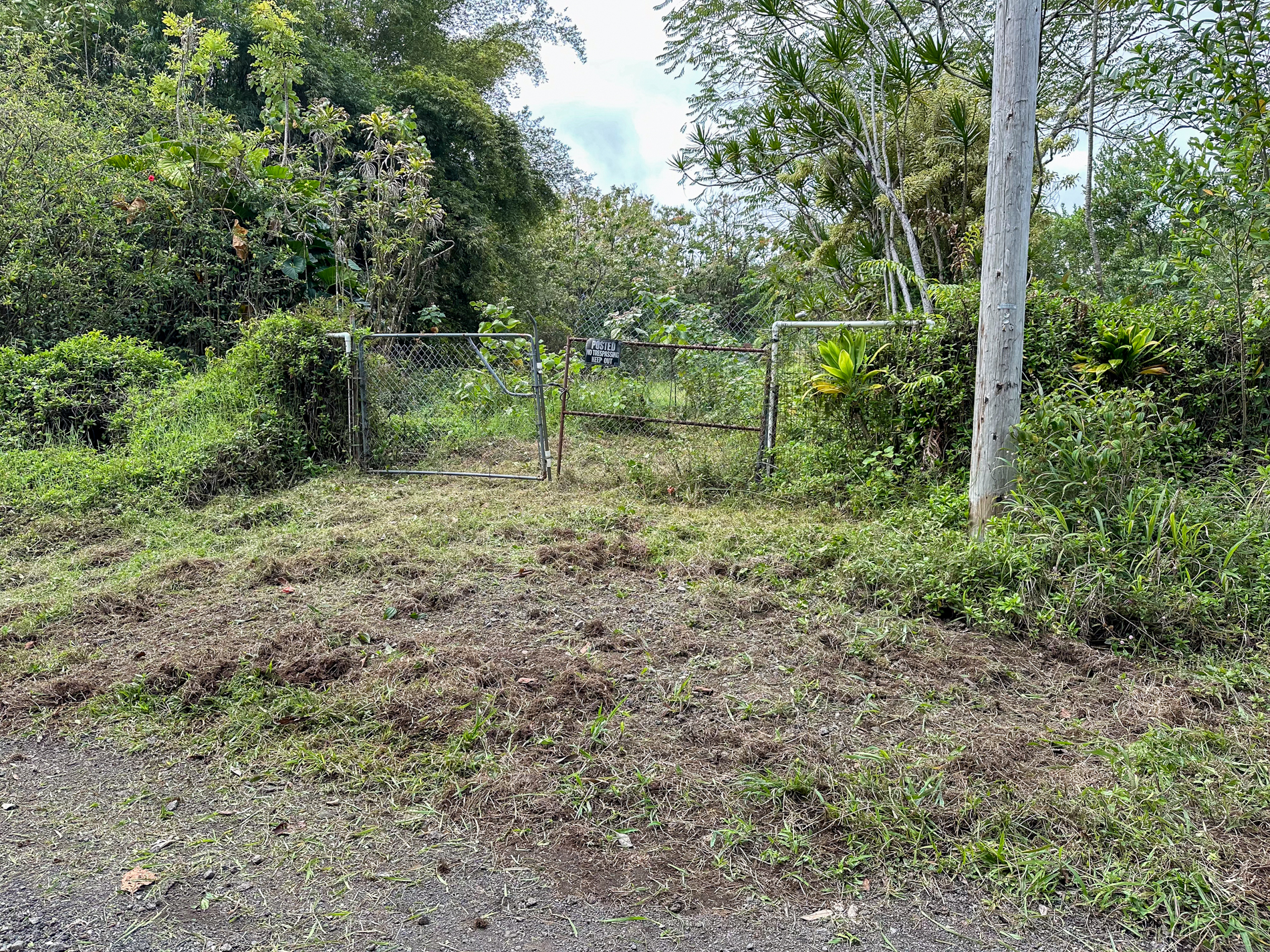 4 Laula Road Hilo, HI 96720 - Photo 6 of 10 a view of a forest with trees in the background